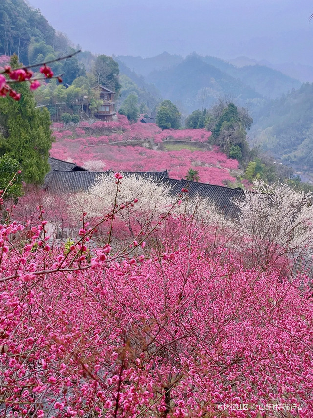 永顺陈家坡图片