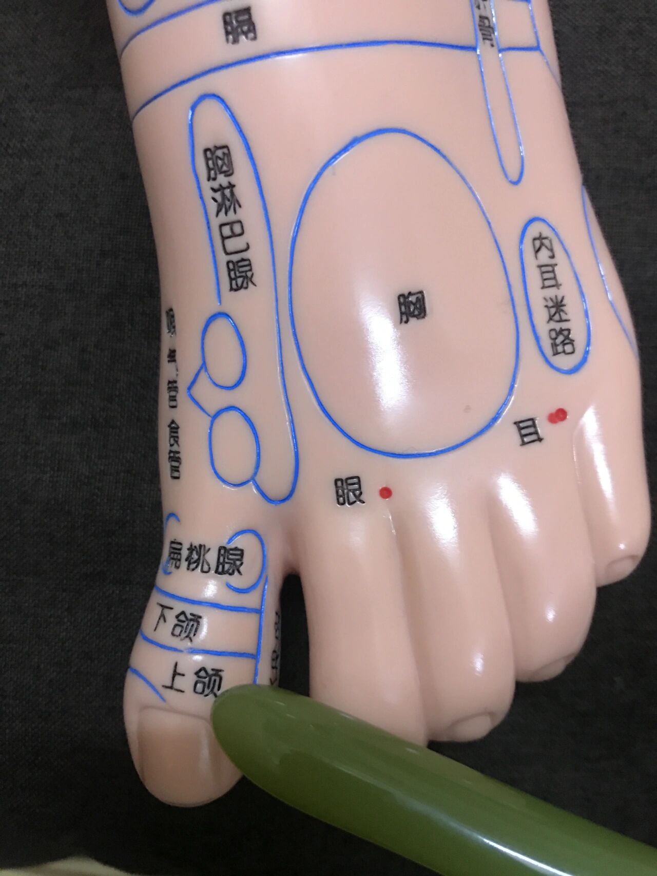 足底好处 祛百病 反射区位置与功能
