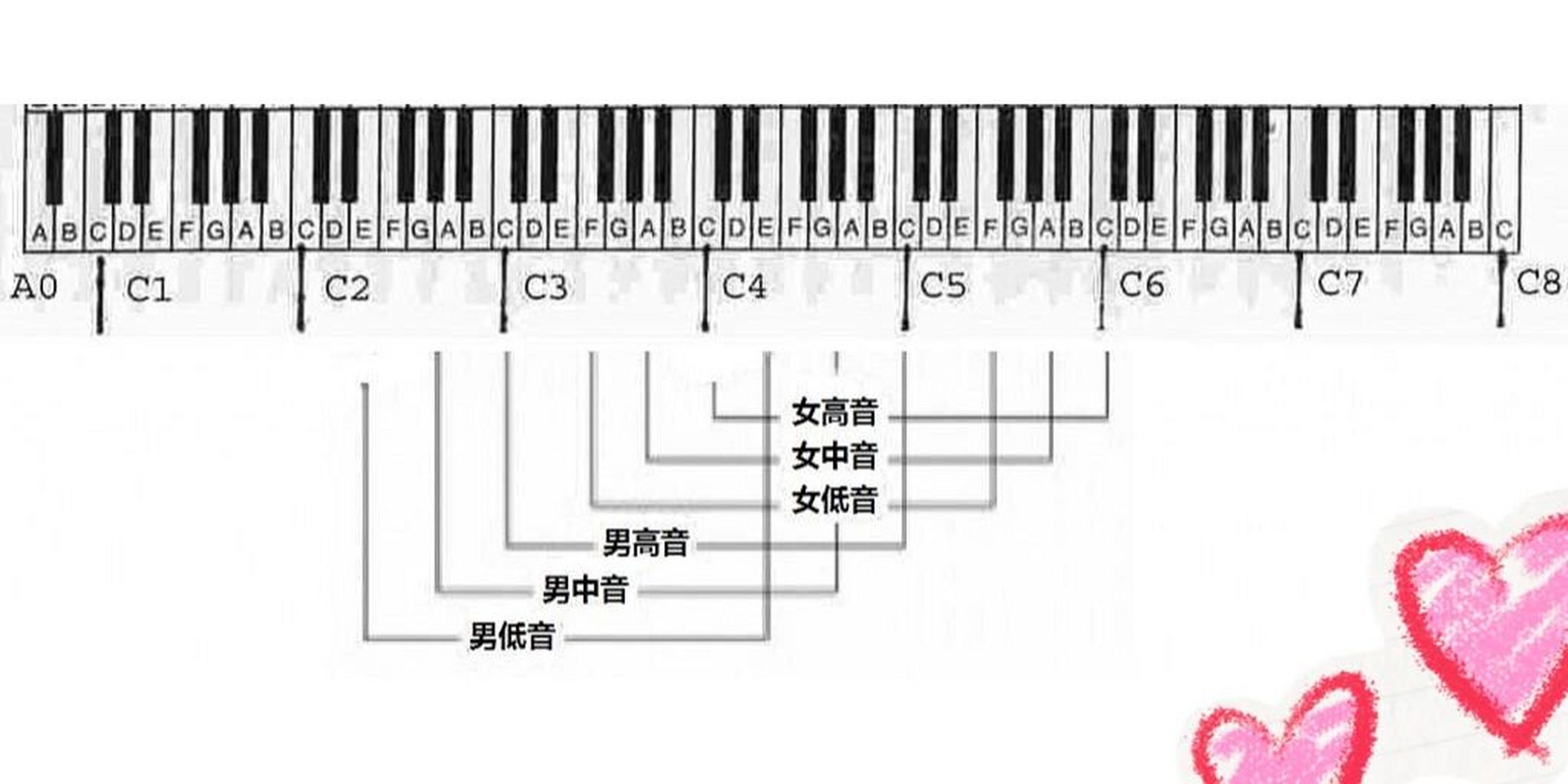 各声部音域参考图图片