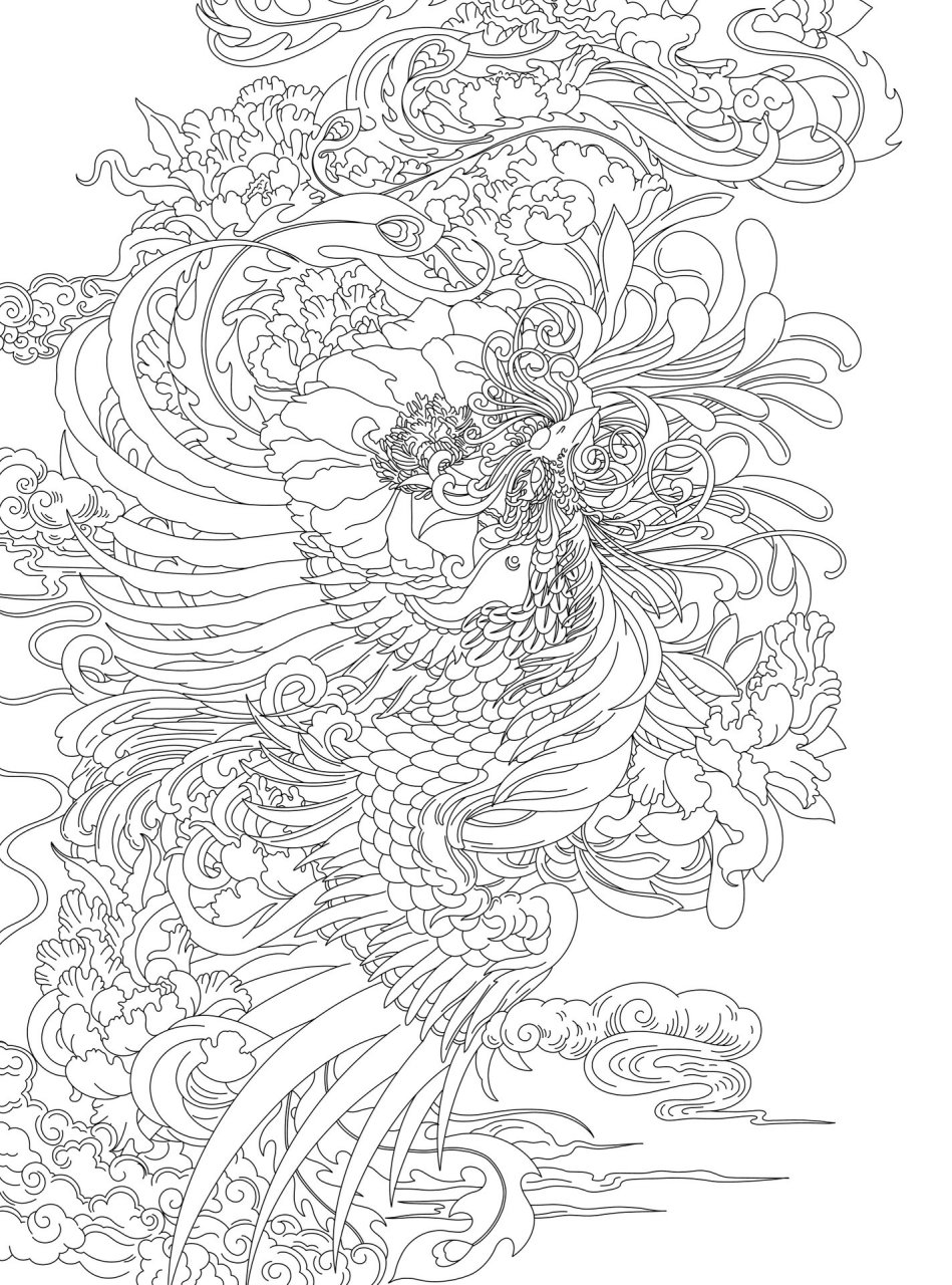 凤凰牡丹装饰插画