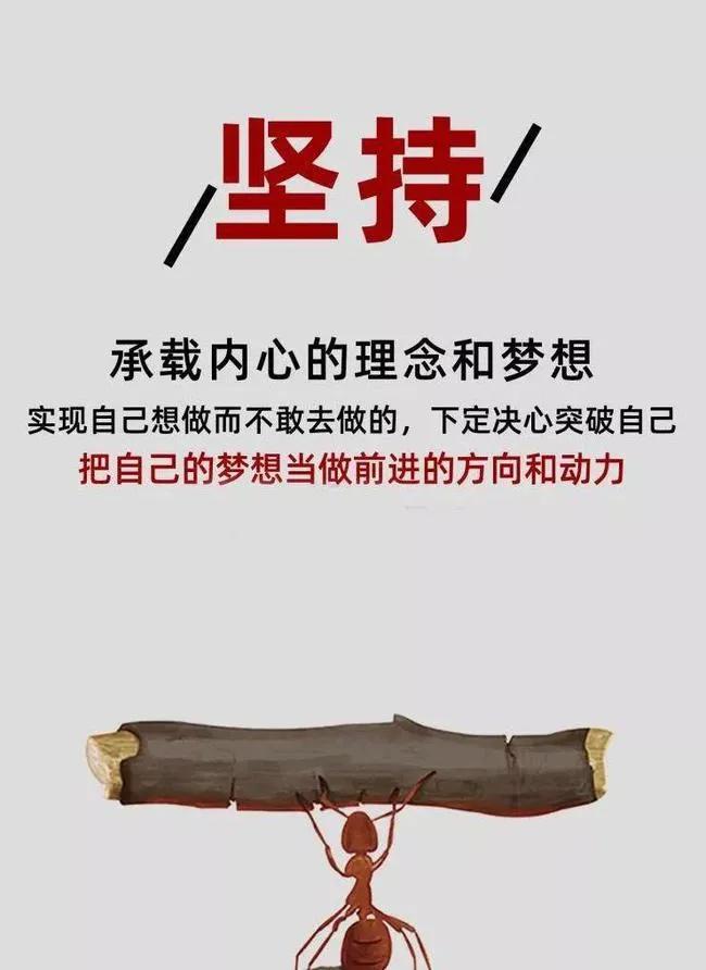 信念的执着性是绝对的吗(信念具有执着性多样性特征)