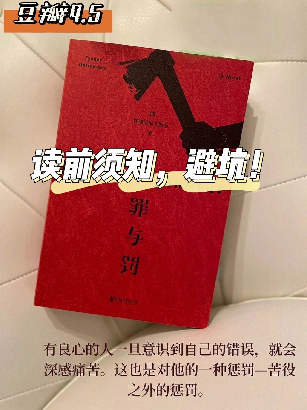 罪与罚读前须知,豆瓣9.5神作真的适合你吗