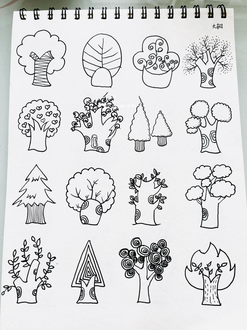 各种各样的树画画图片