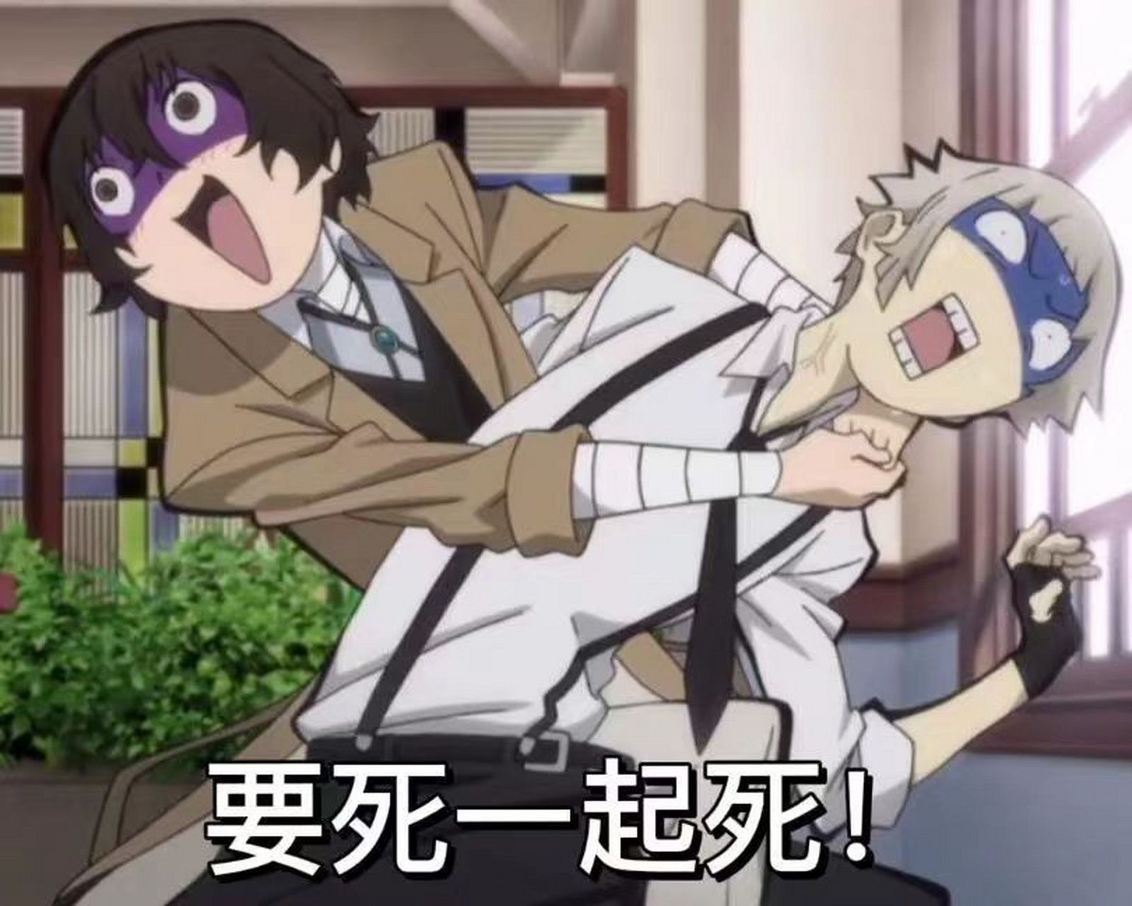 文野表情包～敦敦篇 慢慢悠悠地来更新了.