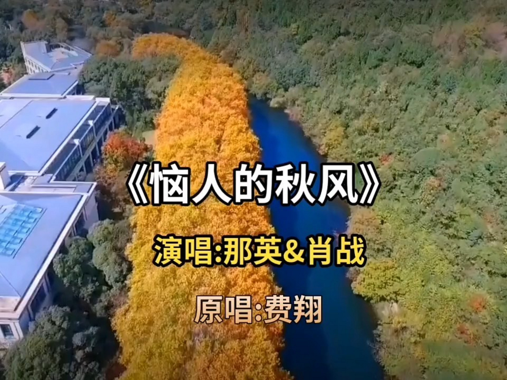 恼人的秋风简谱肖战图片