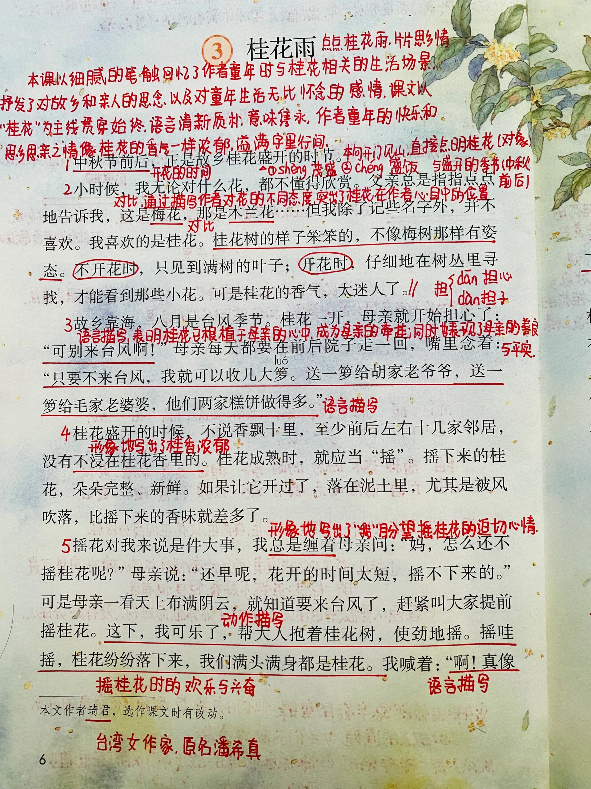 五年级上册语文 第3课 桂花雨 课堂笔记