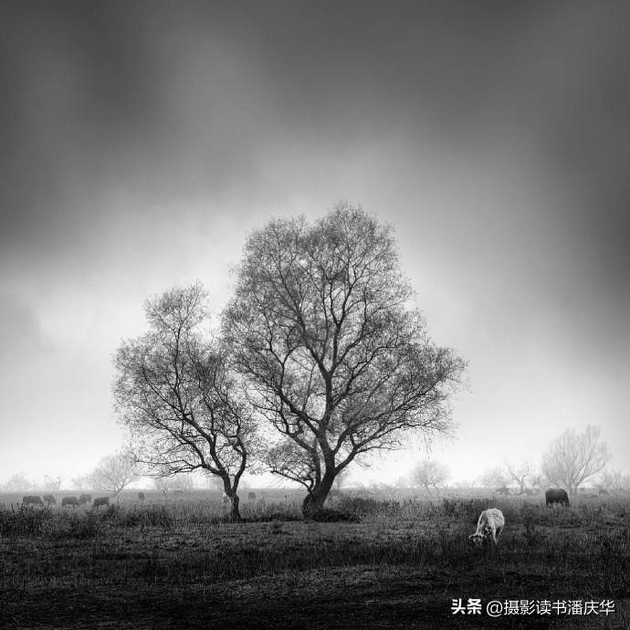 【黑白风光摄影作品】 摄影师:george digalakis