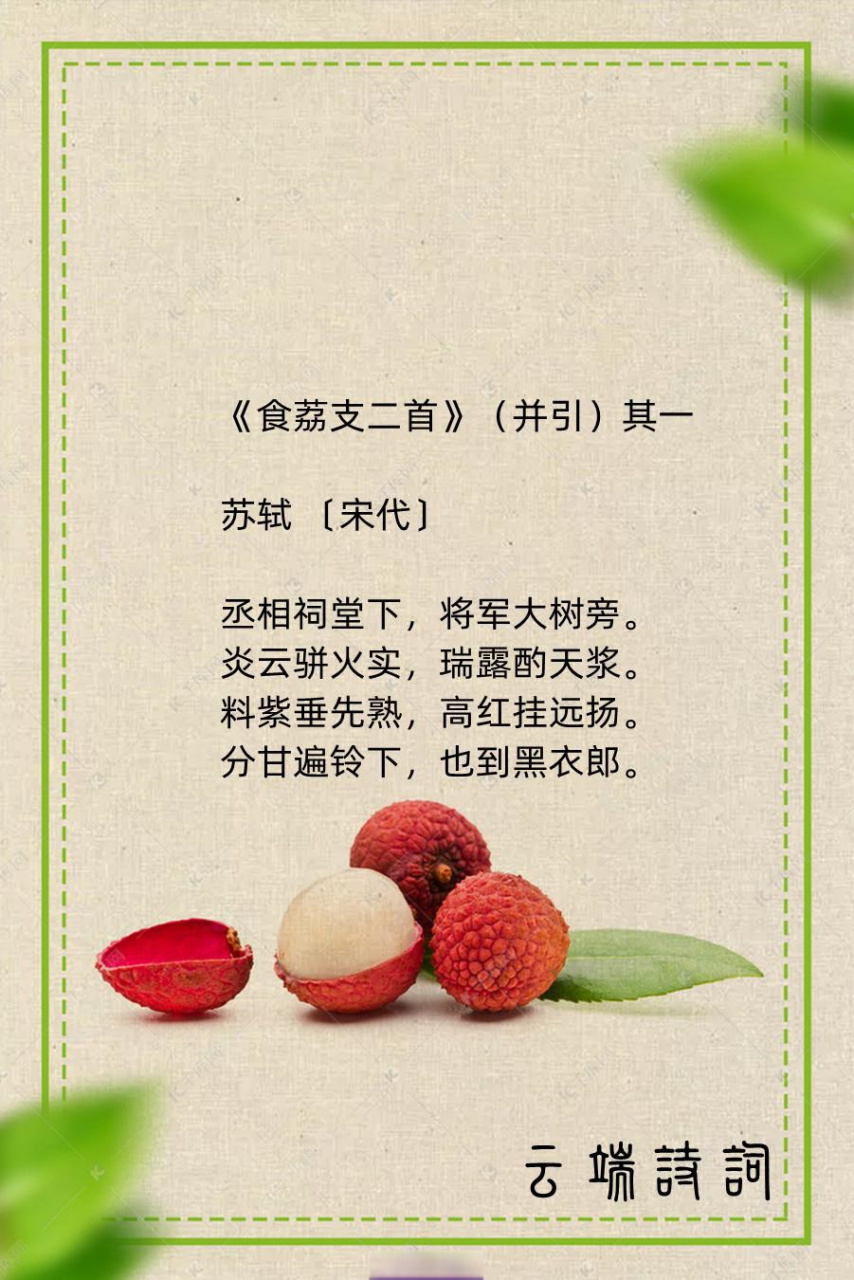 苏轼9首关于荔枝的诗词,值得收藏!诗词合集