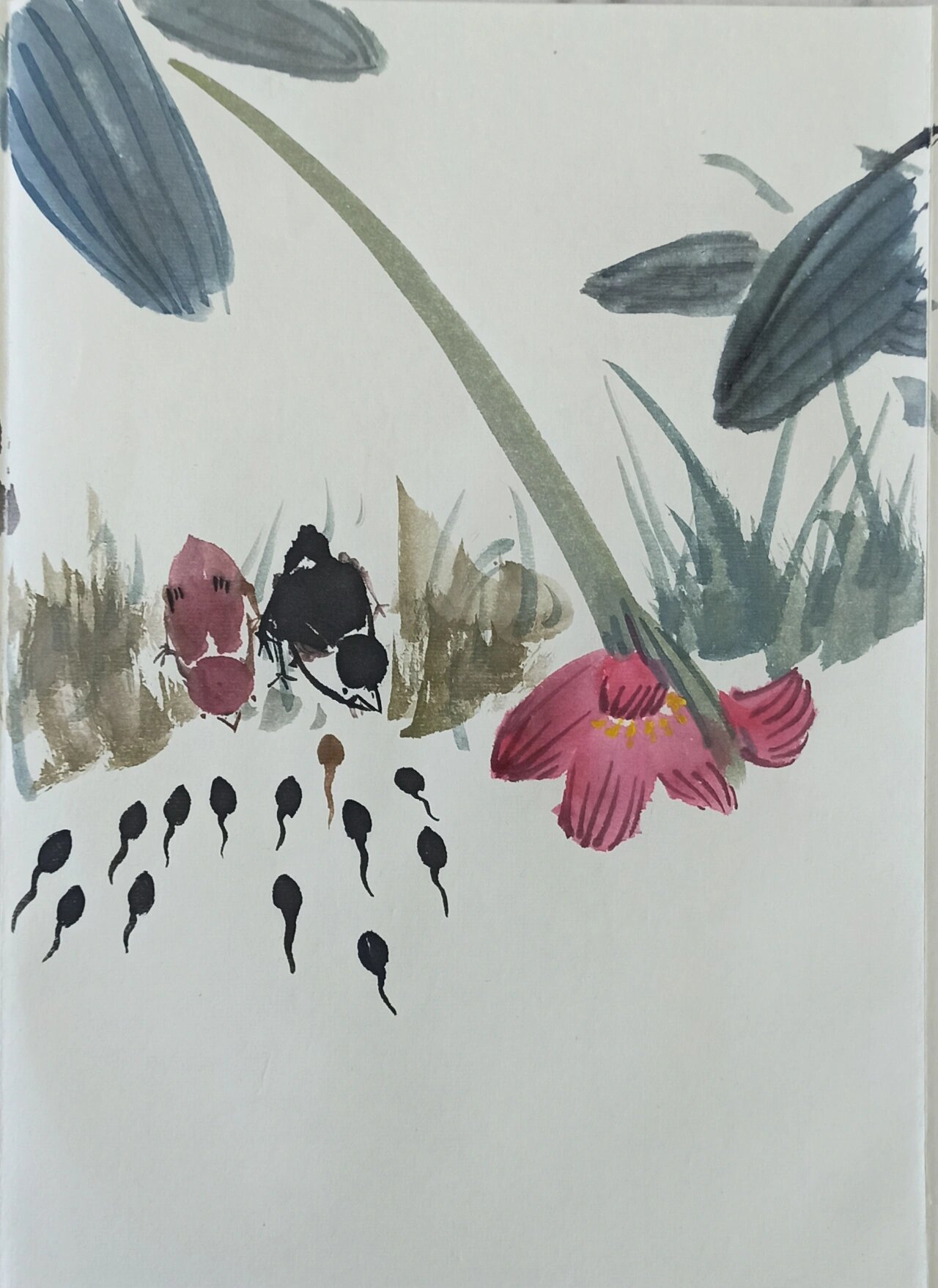 ①国画绘本‖水墨版小蝌蚪找妈妈绘本