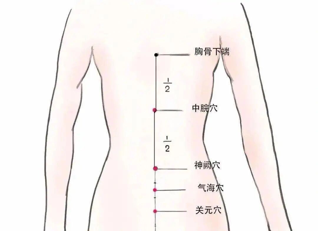 肚脐眼拔罐图片图片