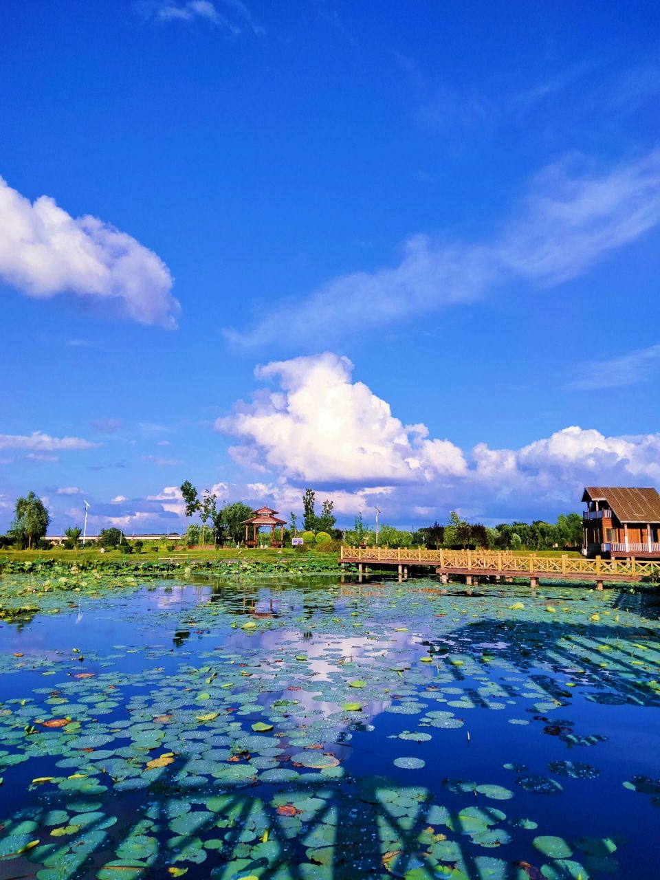 长岭湖风景区图片