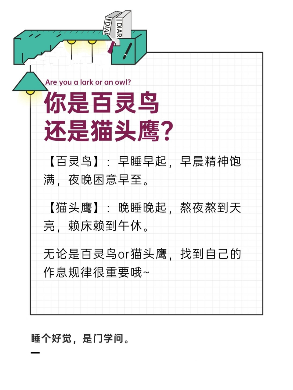 睡眠的【百灵鸟】【猫头鹰】体质6015看看你是哪种 睡眠也是分