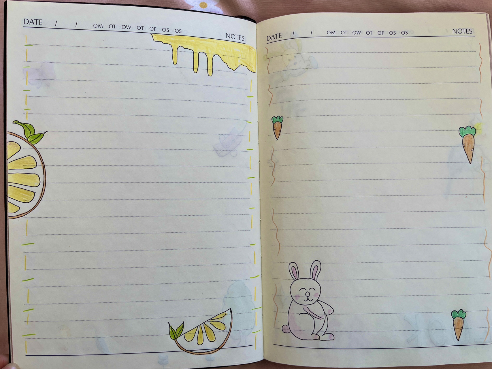 教师/幼师读书笔记手帐/图绘/彩绘/简笔画