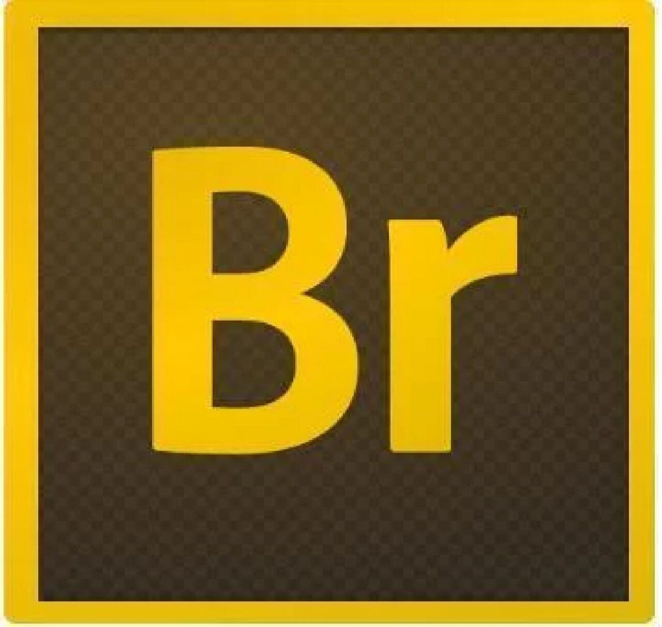 新手小白软件安装教程(br篇) 建议断网安装:电脑怎么断开网络连接?