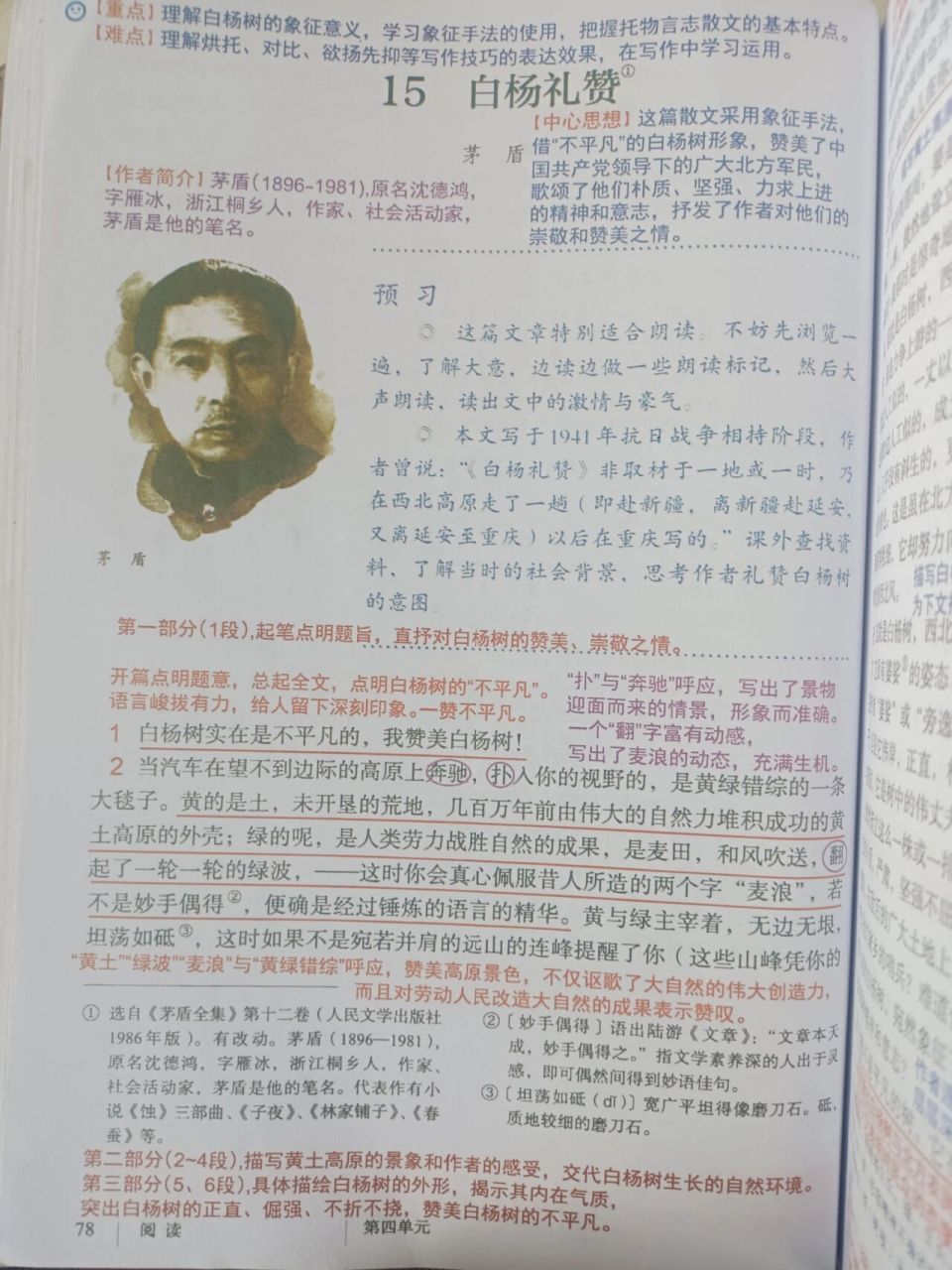 白杨礼赞|课堂笔记