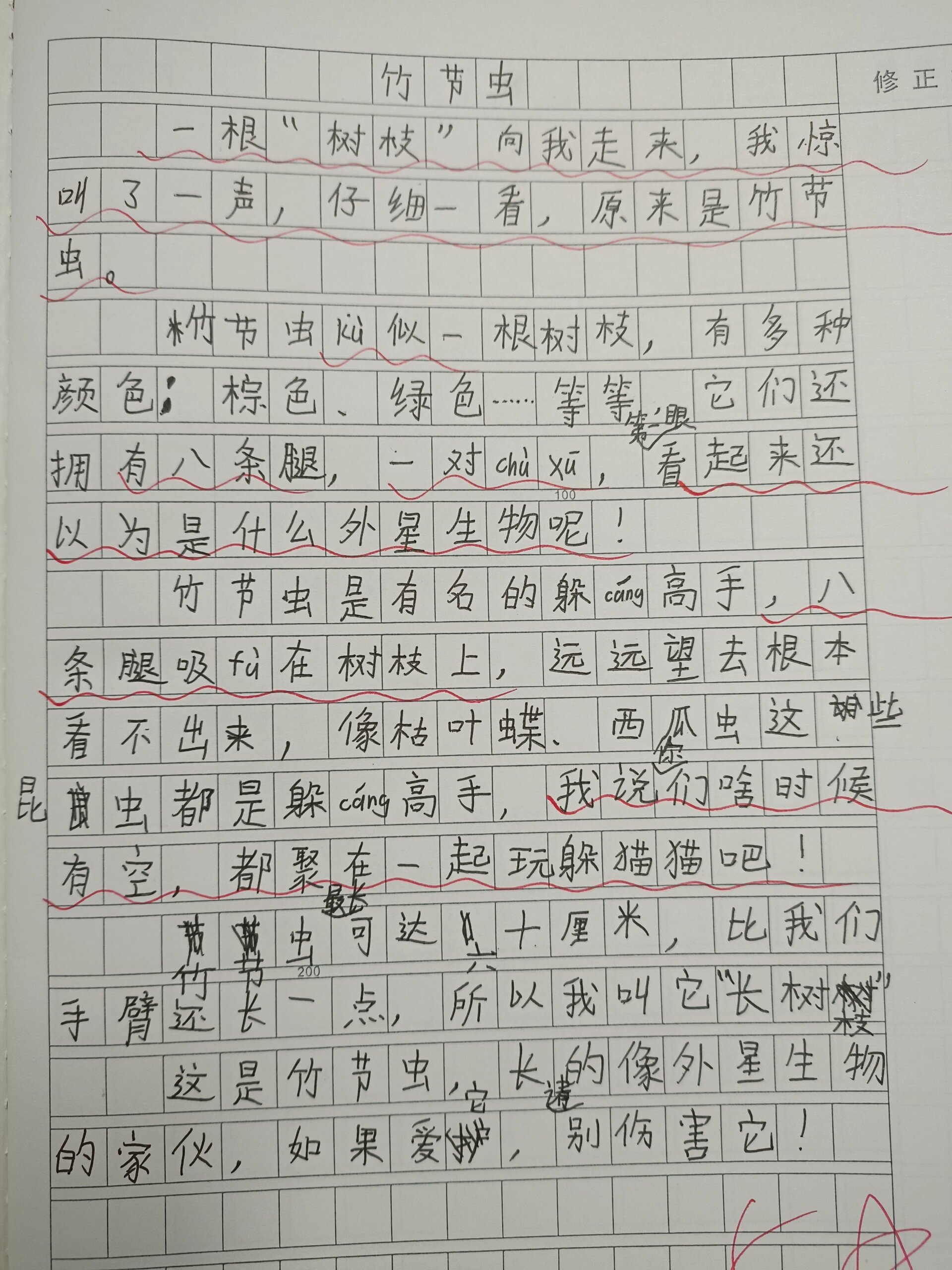 昆虫备忘录50字图片