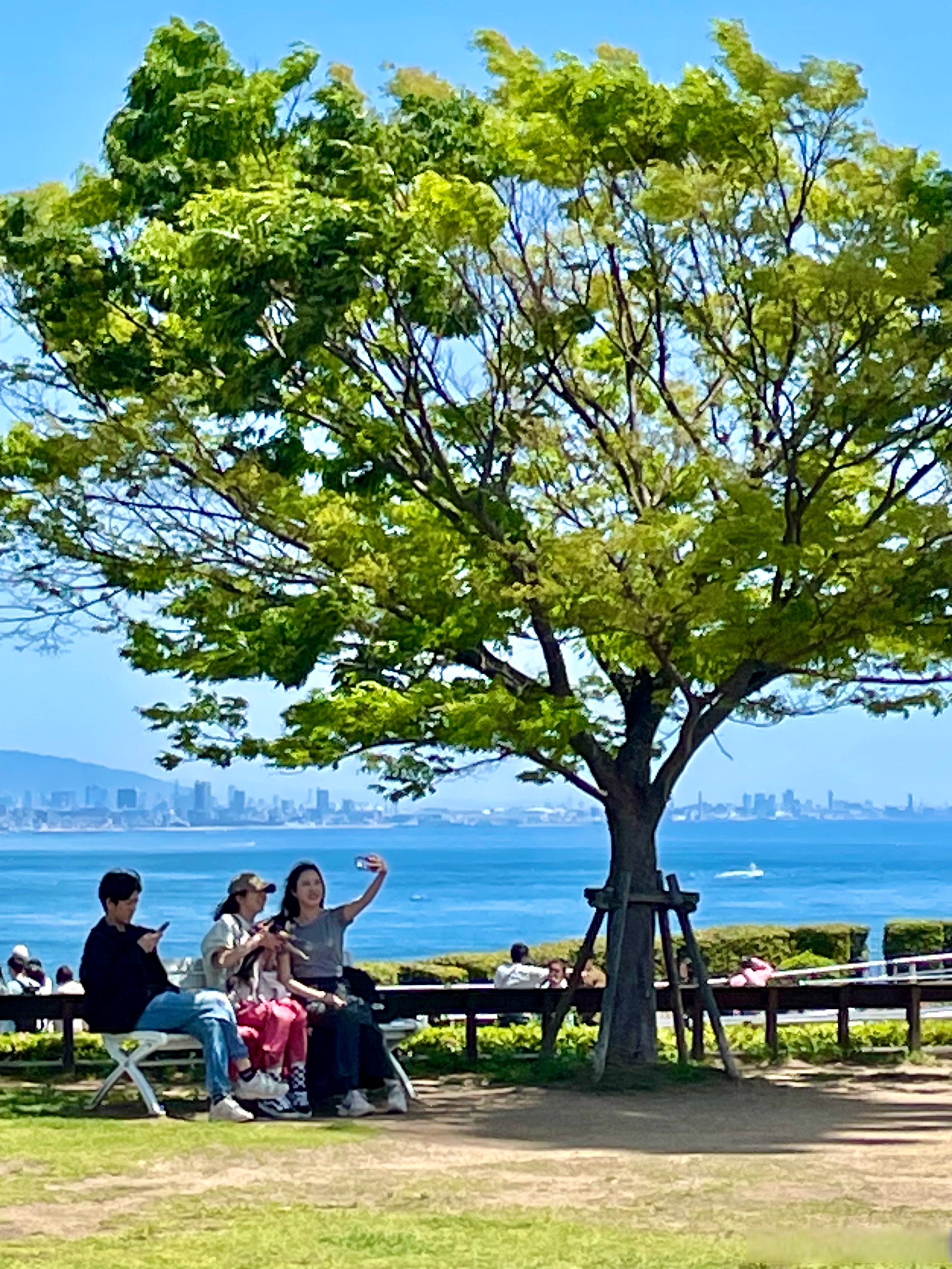 濑户内海淡路岛自驾游 摄影 吕晓虎   日本旅游 摄影记者带你看日本