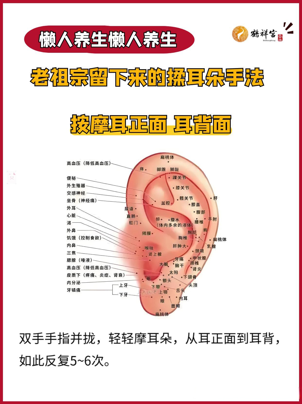 耳朵都是一样的形状,一定有意义在里面,这样看耳朵