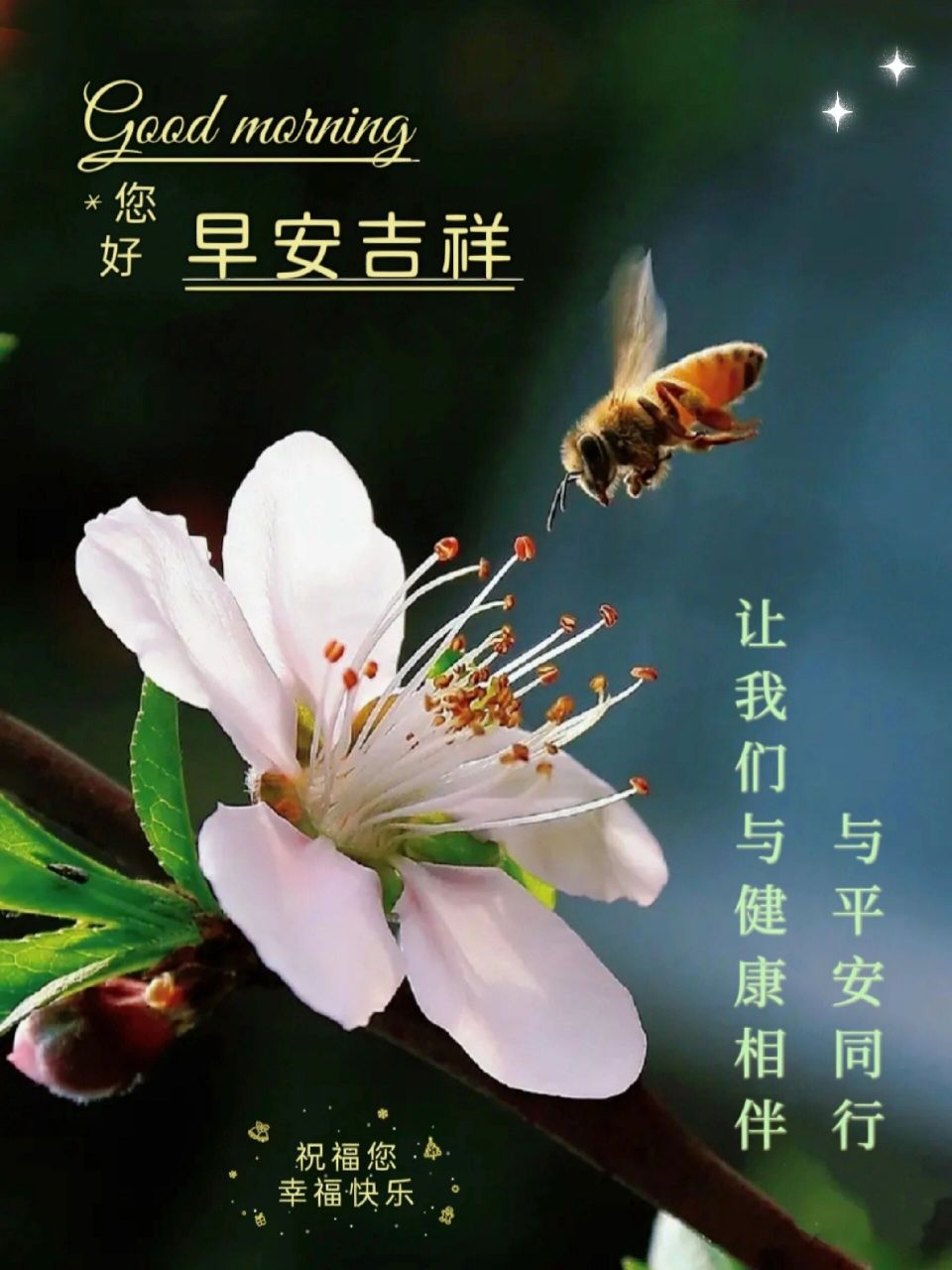 早安问候图片 日子简单过, 长路慢慢走.
