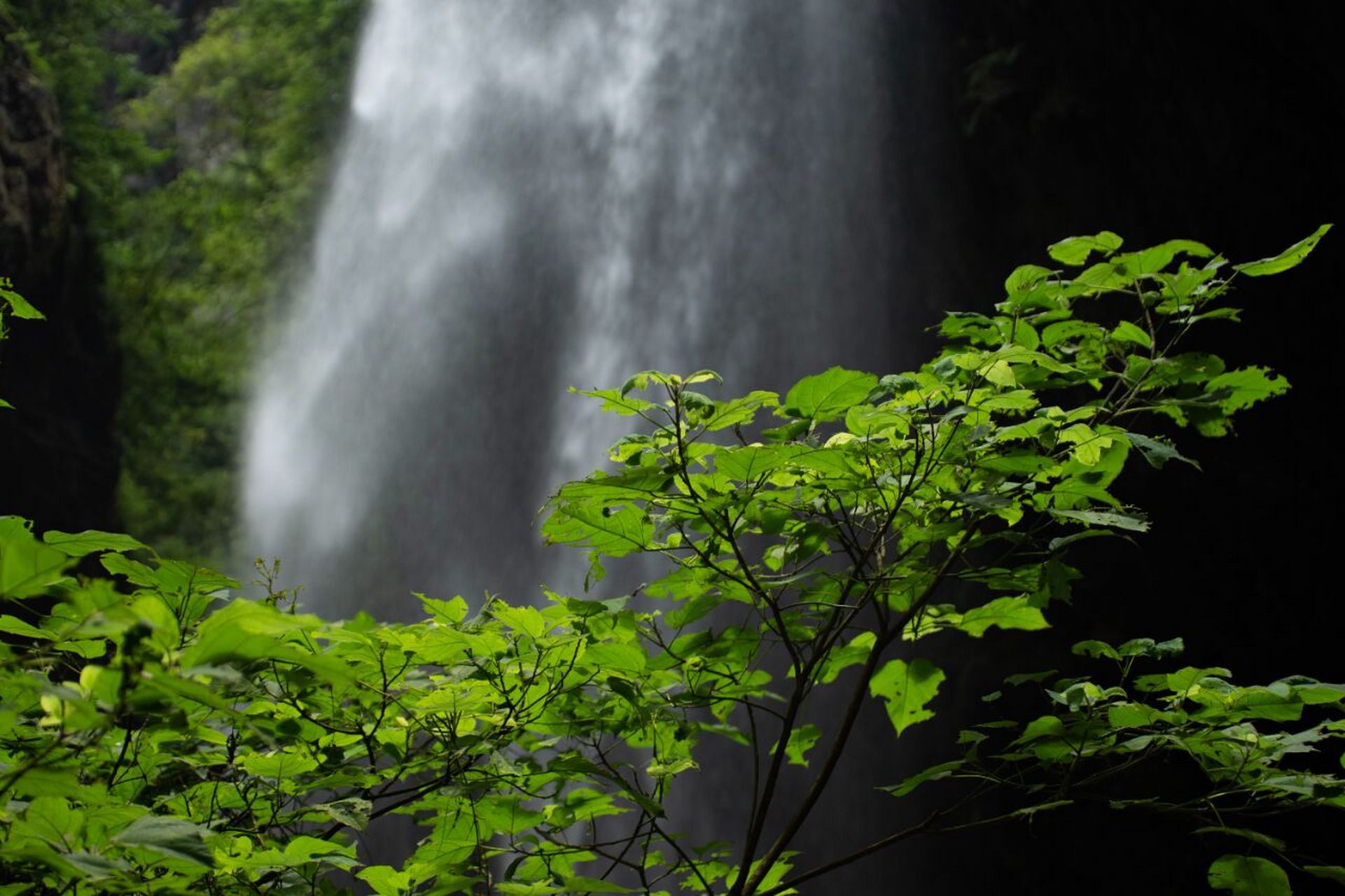 重庆武隆龙水峡地缝 武隆地缝风景区,位于武隆区仙女山镇境内,距县城