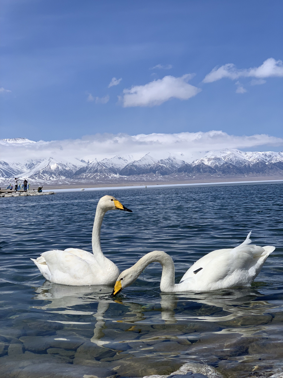 13赛里木湖一日游,原图直出 天气:晴朗 交通:从伊宁客运站搭乘前往