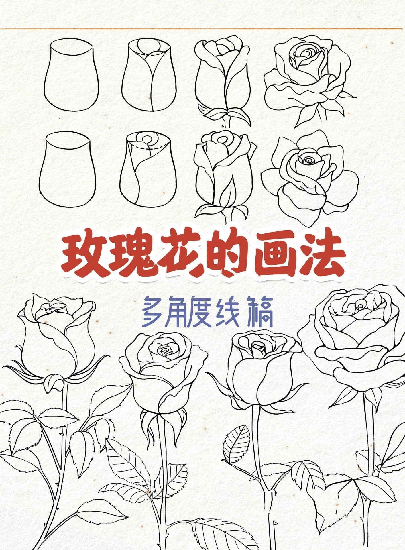 玫瑰花的画法 | 多角度线稿 | 绘画教程 练习了一下画玫瑰花,玫瑰花