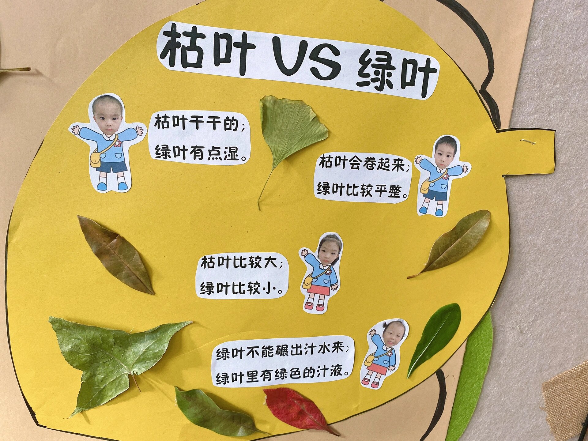 中班主题墙 好看的秋叶 一:瓶子里的叶子 请家长空闲时带孩子去捡落叶