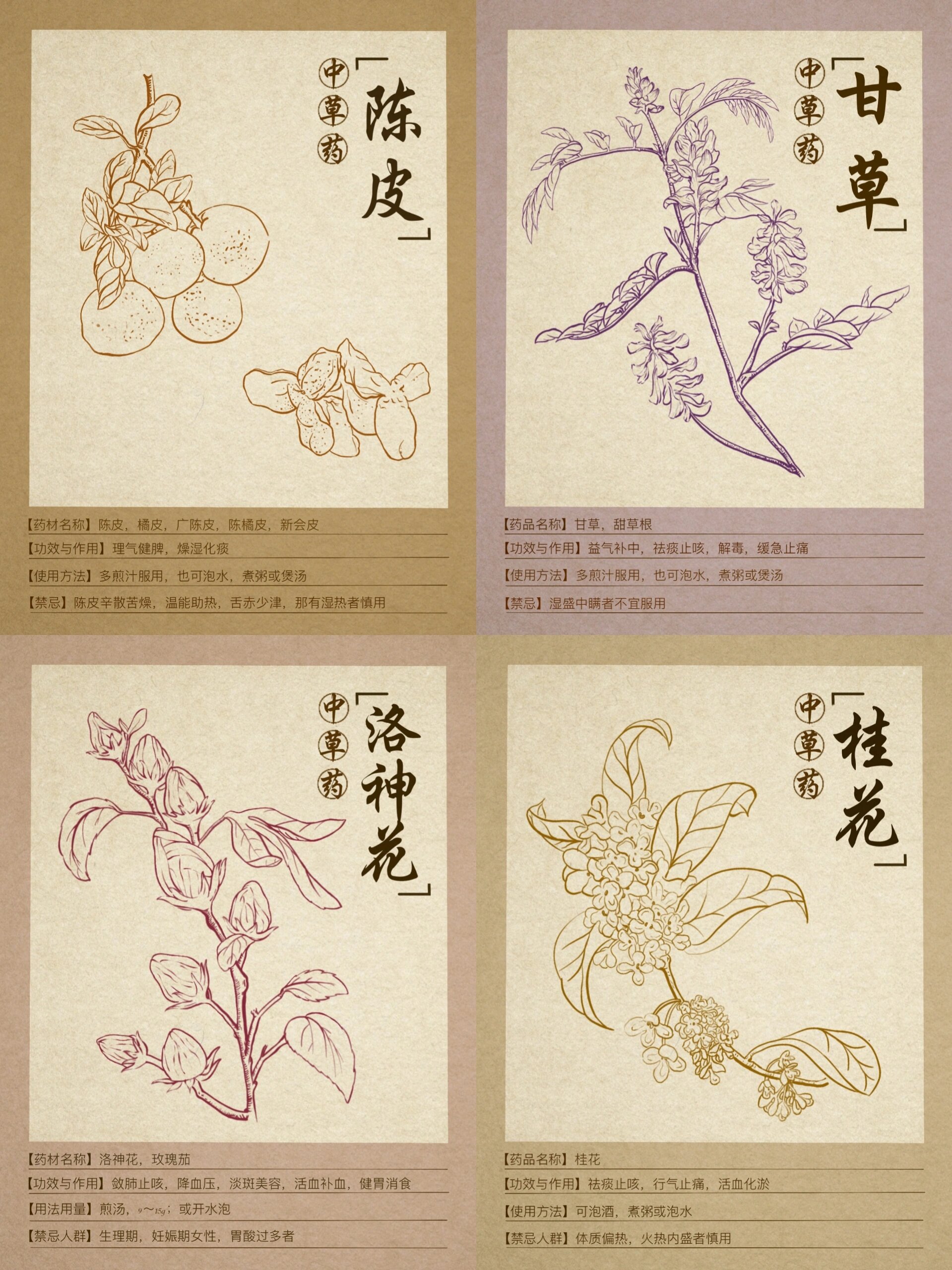原创|中草药手绘合集9196