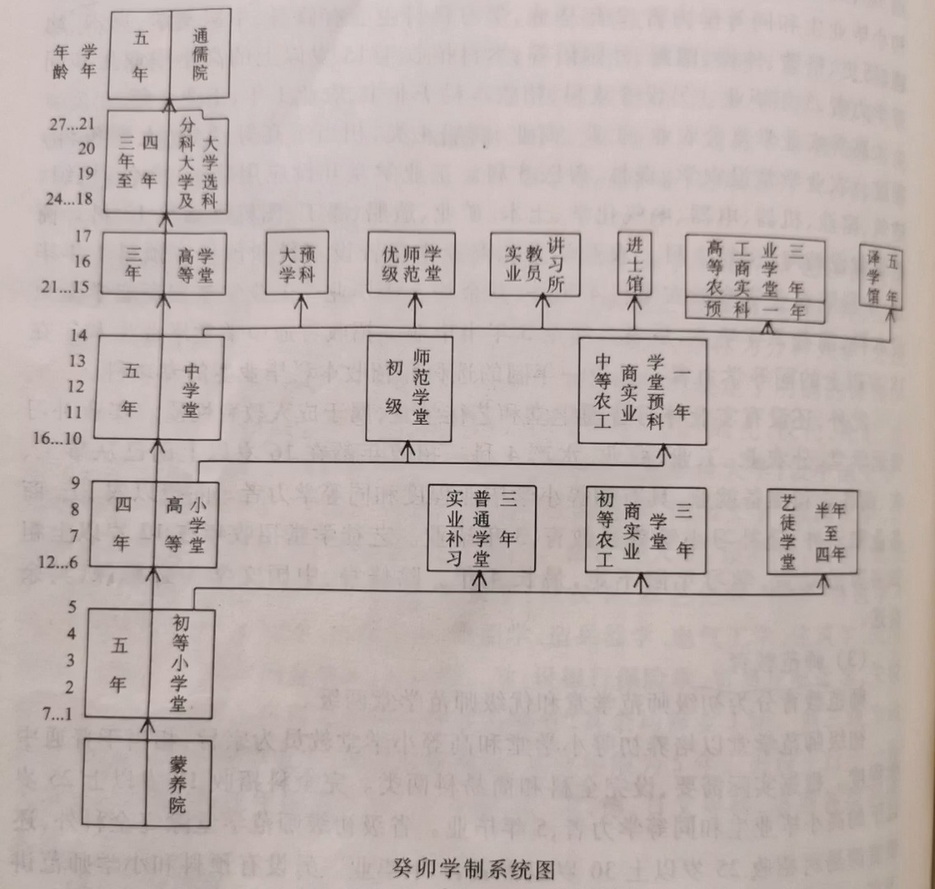 现代三种学制类型图图片