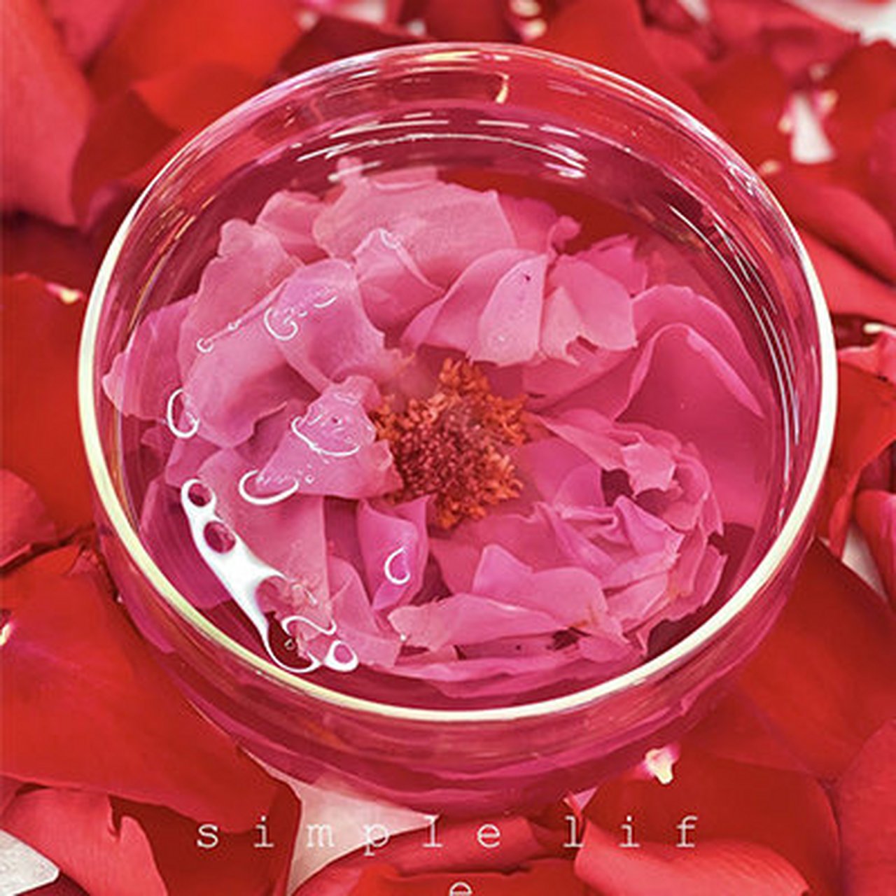 东方甄选爆卖8万单  雲巅源府云南冻干墨红玫瑰花茶  仙女喝的花茶