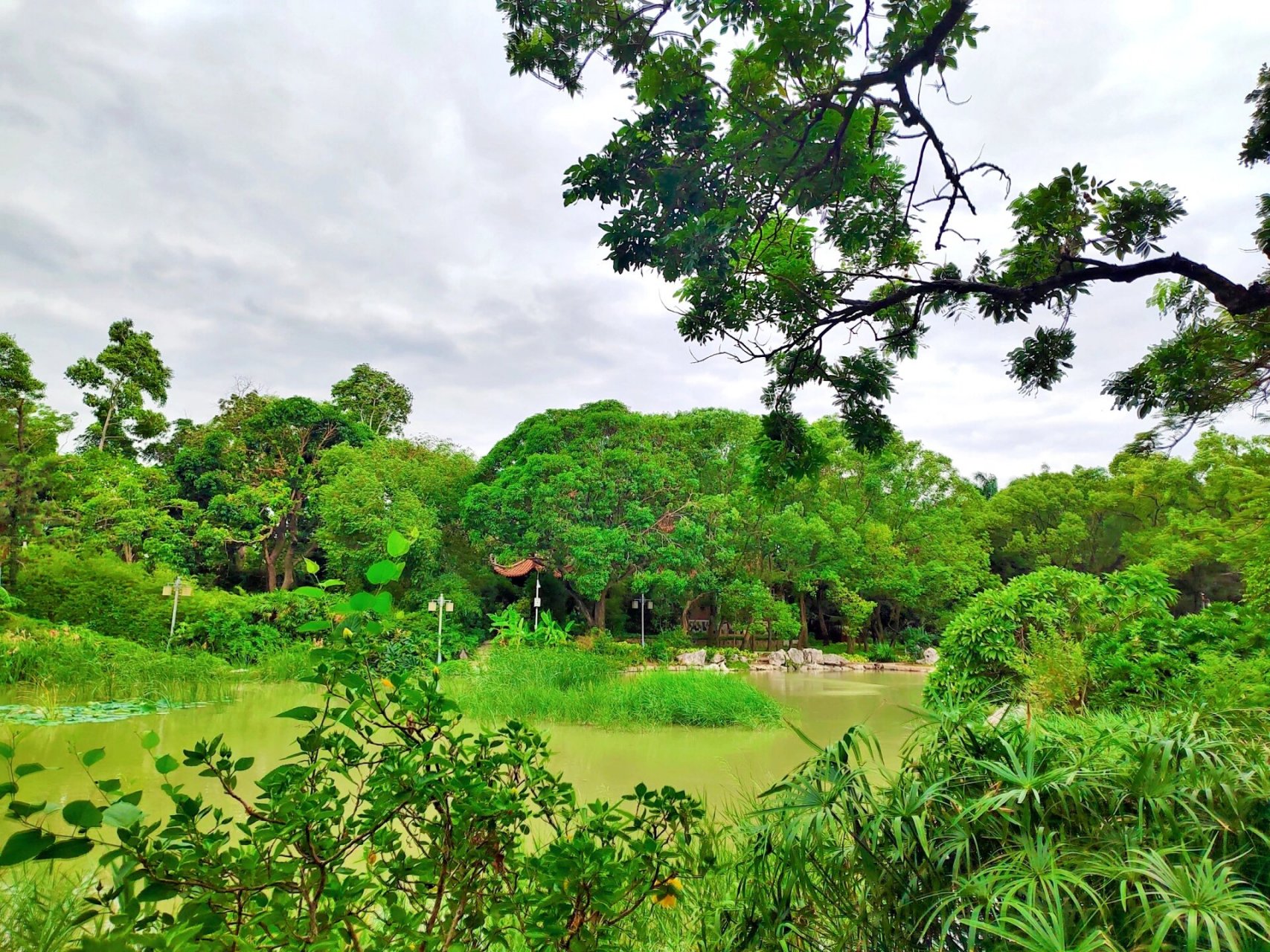 千年古城～海丝泉州～散步圣地"芳草园87" 94芳草园,位于泉州鲤城
