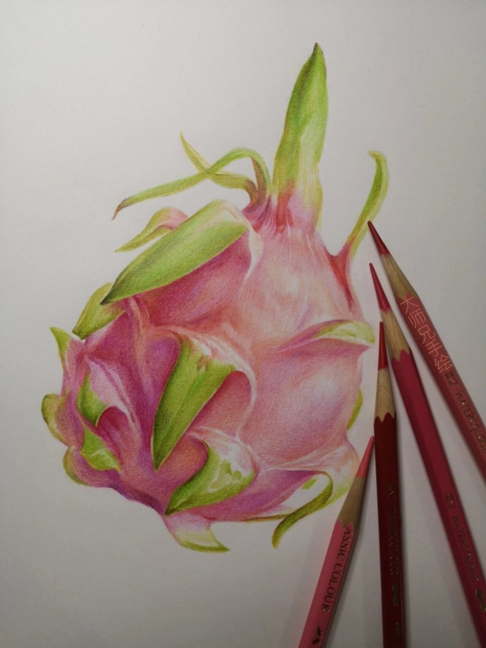 彩铅基础入门教程  火龙果  纯干货分享 一个零基础另外有些基础的 都