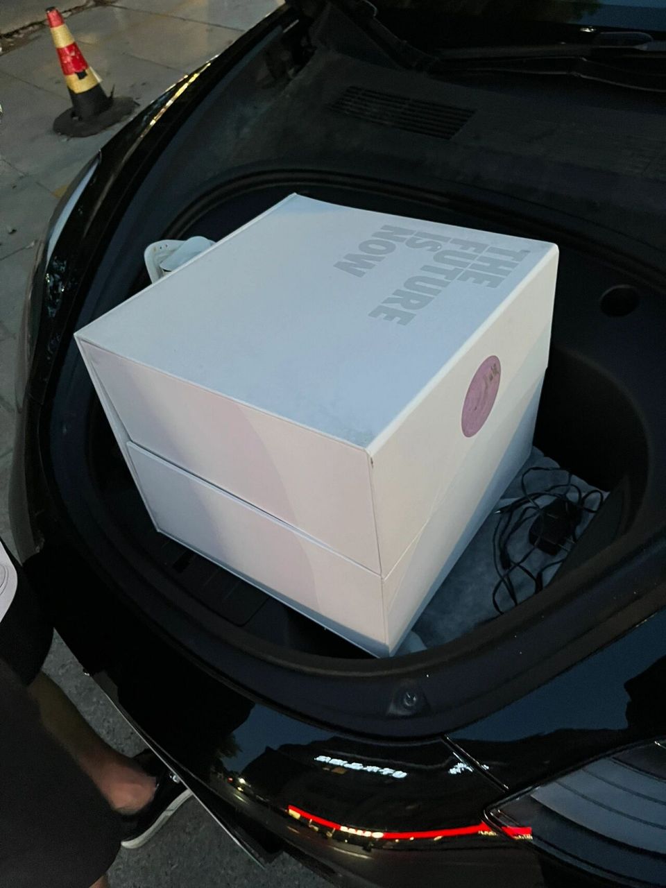 全球限量89双.这是耐克根据经典电影《回到未来》而设计的鞋子.