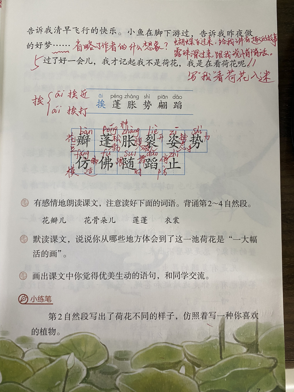 三年级荷花课堂笔记图片