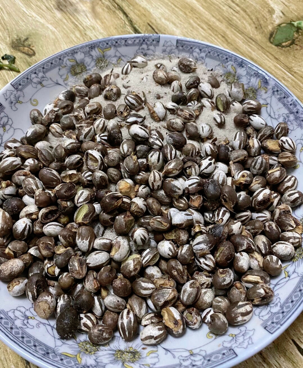 盐炒洋辣子 洋辣子,是绿植的主要害虫之一.