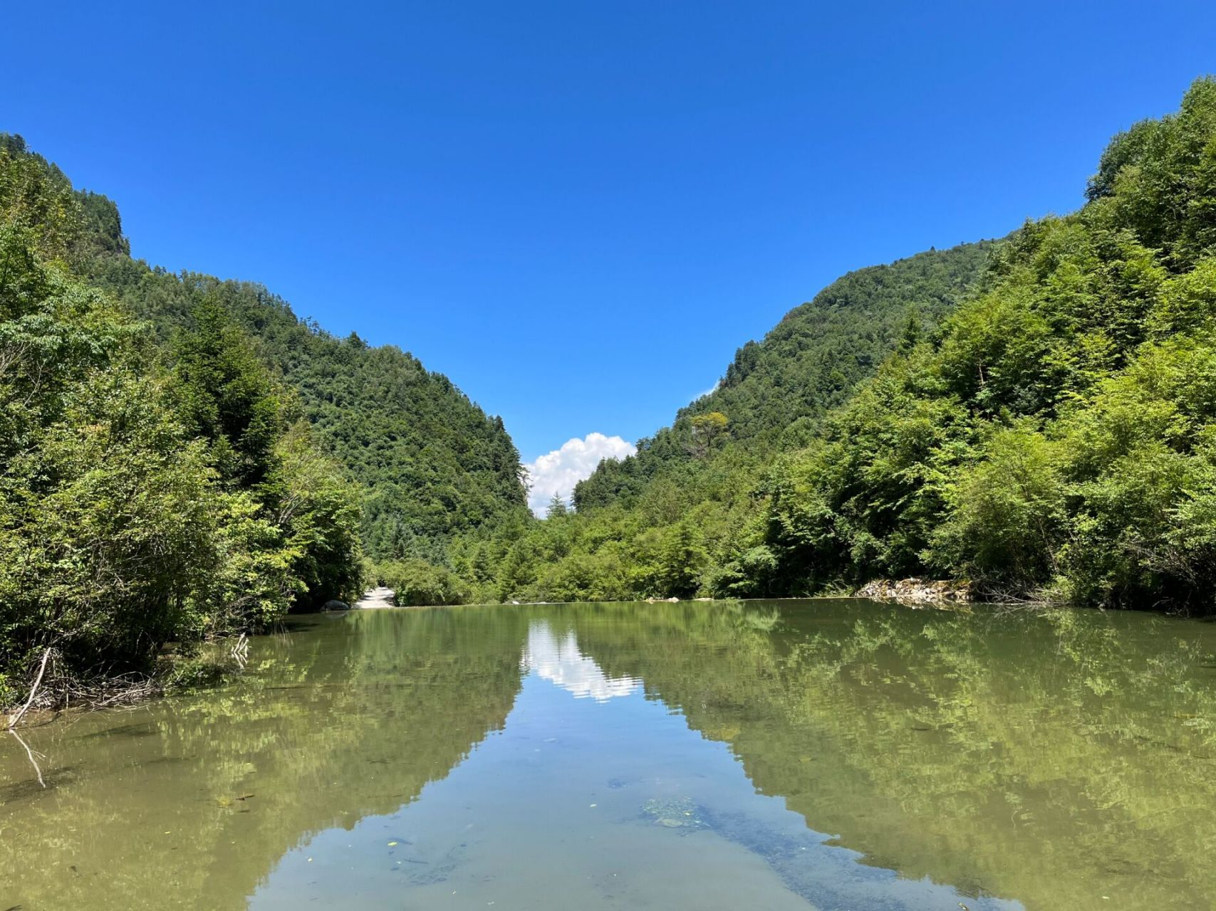 陇南市宕昌县官鹅沟景区    真的太美啦!