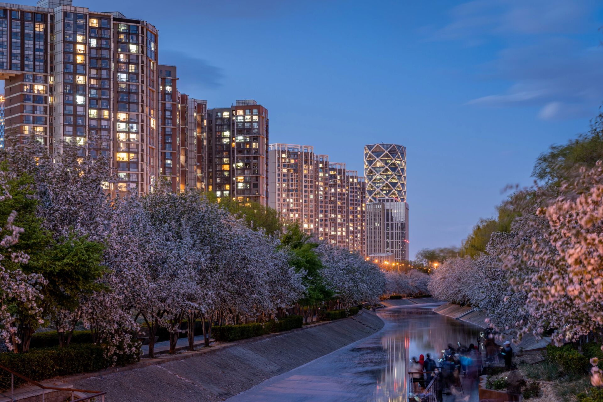 打卡京城网红海棠夜景 望京海棠,望京南地铁站b口,follow小红书攻略打
