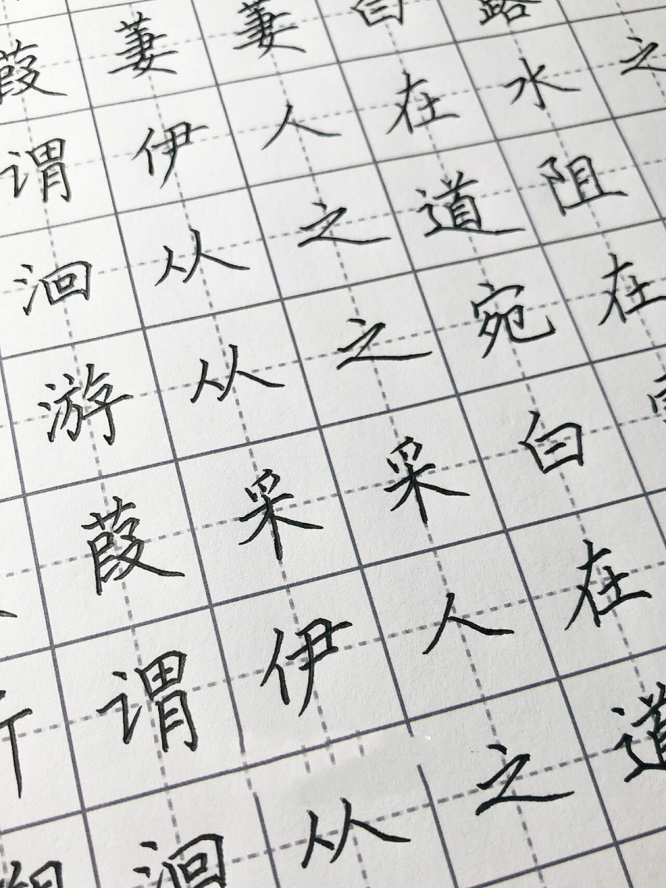 手写丨硬笔楷书《蒹葭》 蒹葭苍苍,白露为霜.所谓伊人,在水一方.