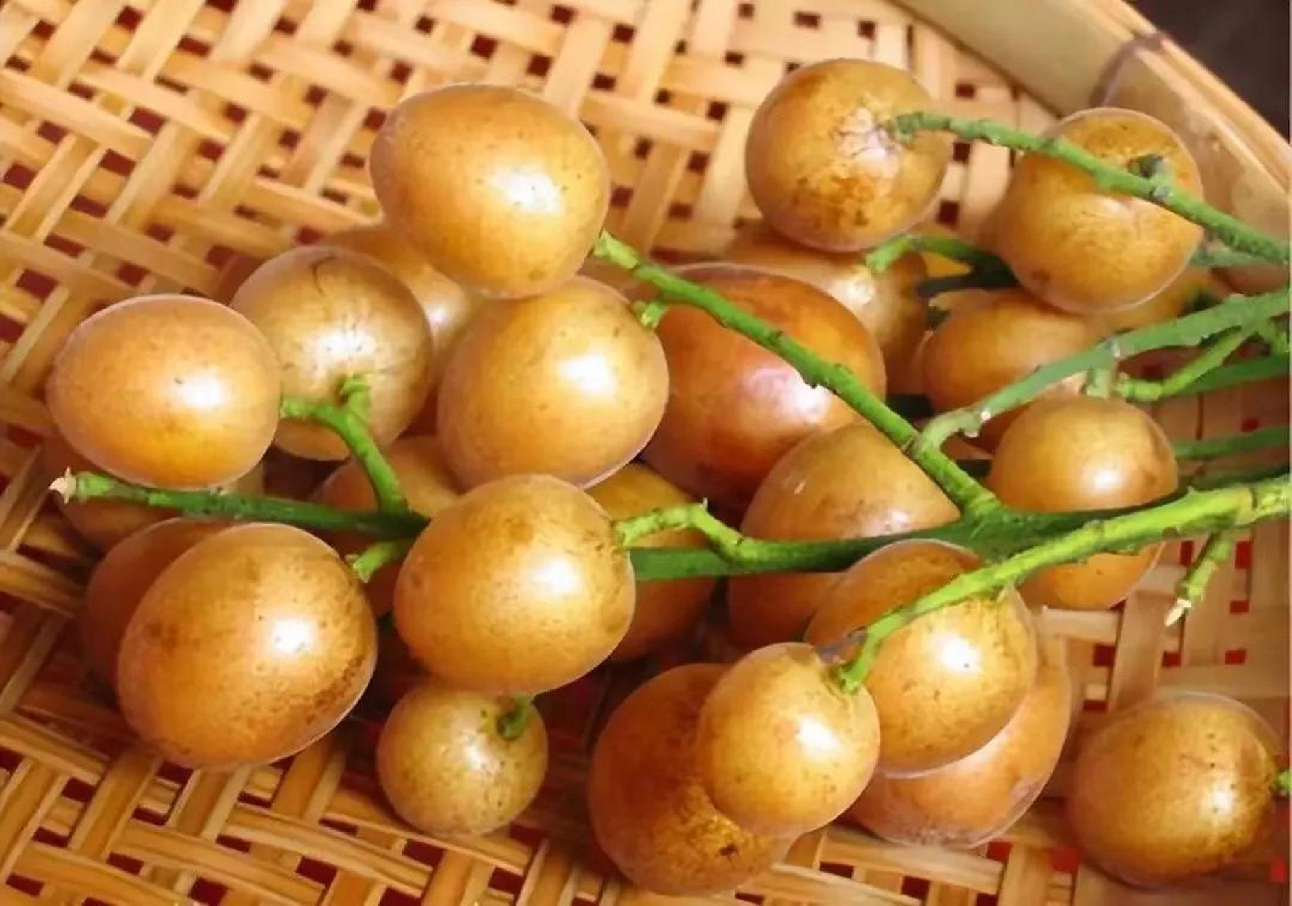 黄皮是中国南方地区才有的水果,而海南的黄皮看起来就非常有食欲,让人