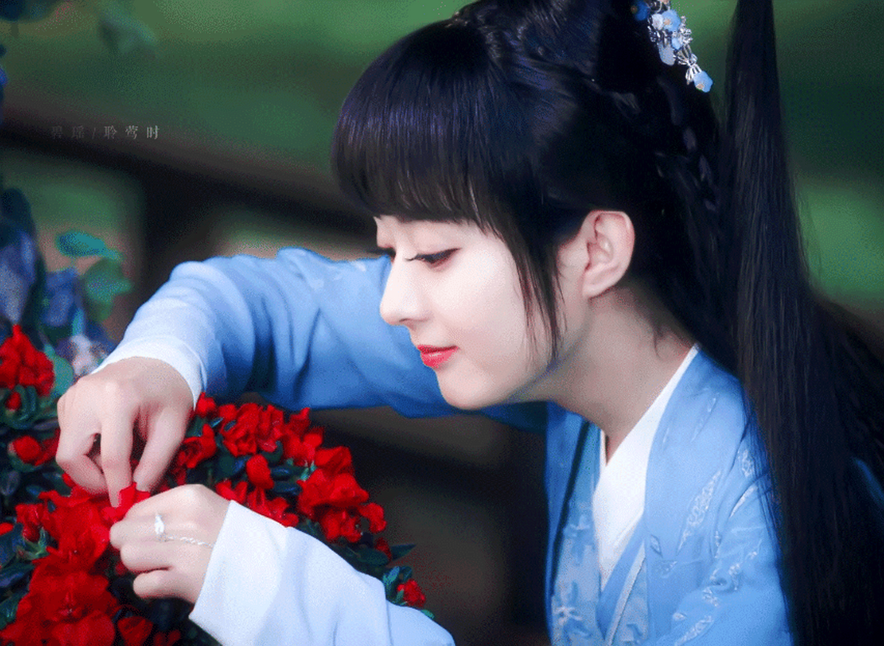 赵丽颖 青云志 碧瑶 动图 #赵丽颖