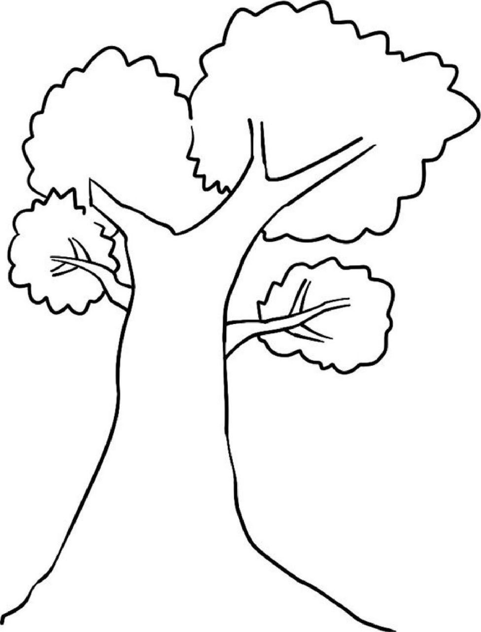 一棵树简笔画图片