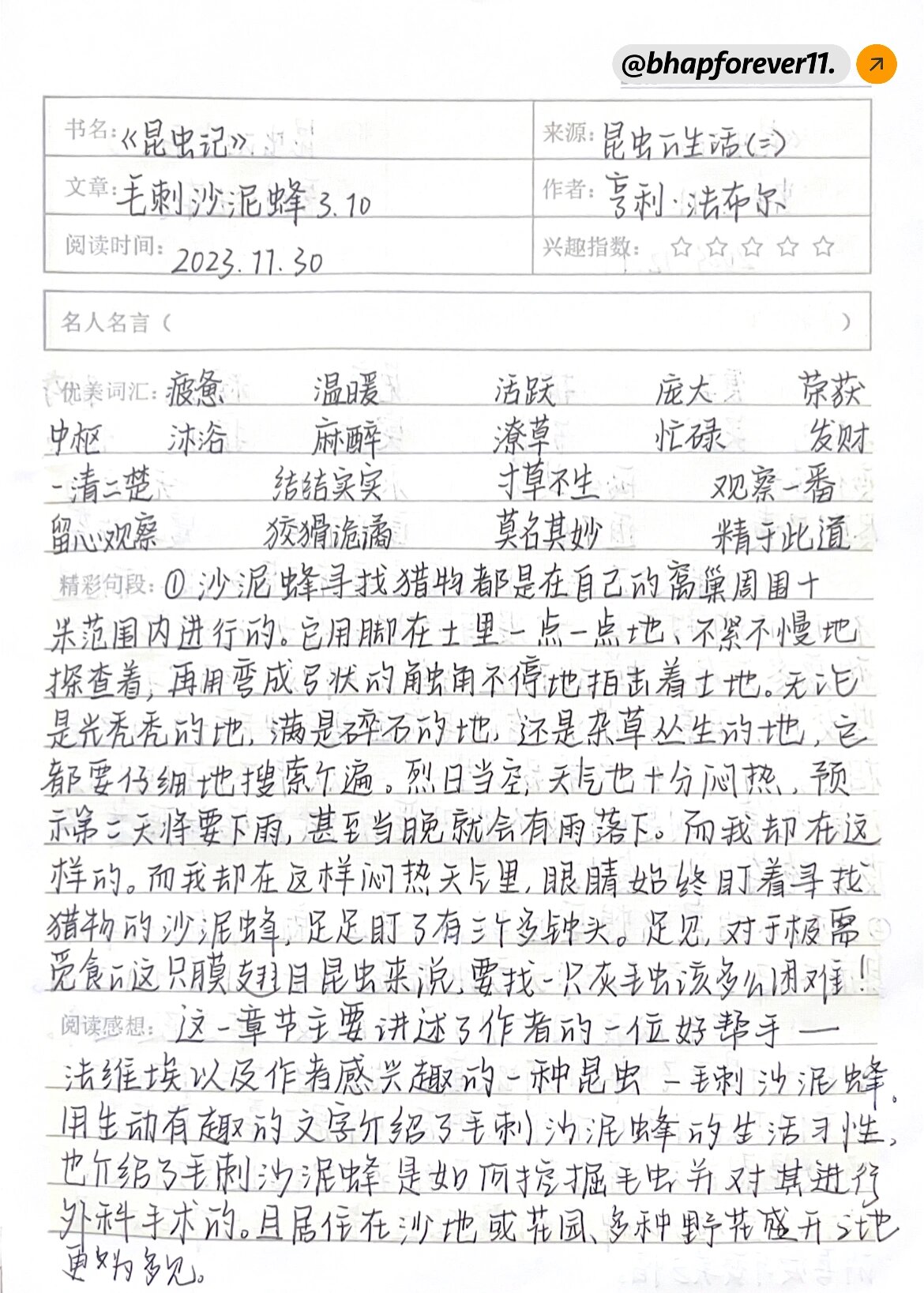 《昆虫记》毛刺砂泥蜂3.