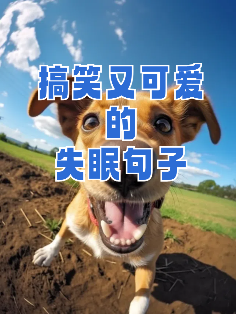半夜失眠的幽默句子图片