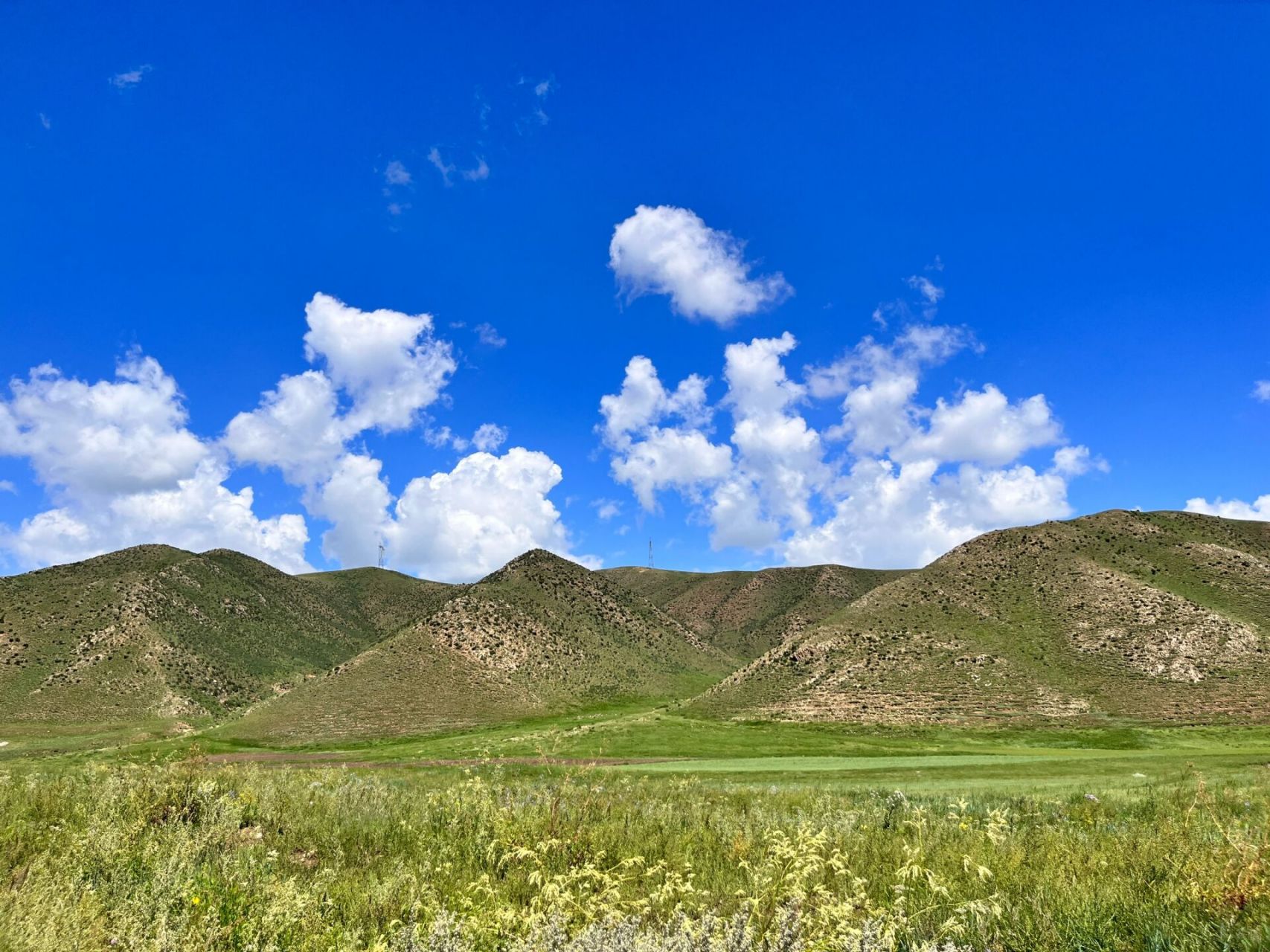 崖景区值得一来    到达呼和浩特的第二天,本来想去敕勒川高山草原