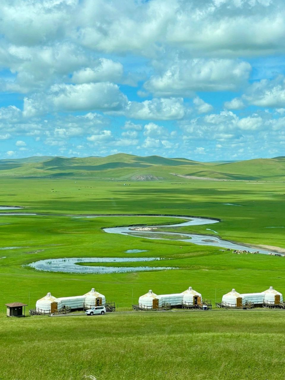 内蒙古低保证图片图片