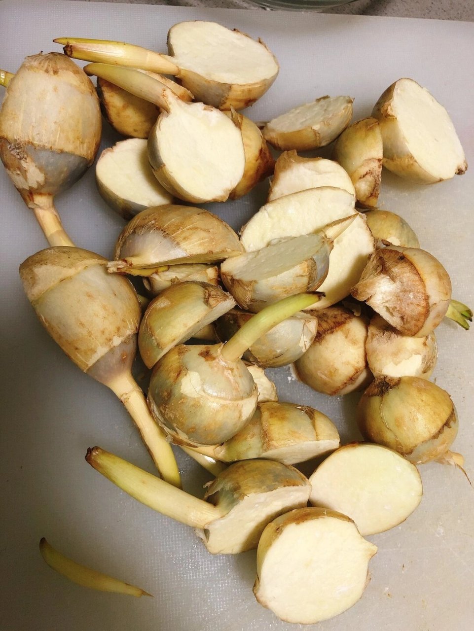 白茨菇,散结节,听说还能抗癌的食材~ 平时喜欢炒肉吃.