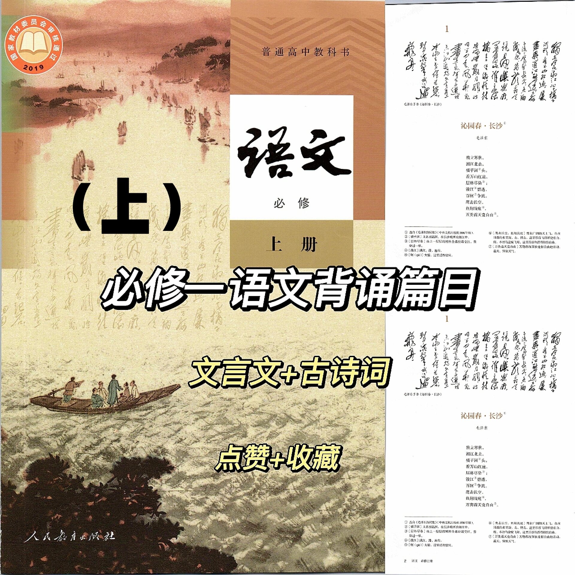 必修一语文