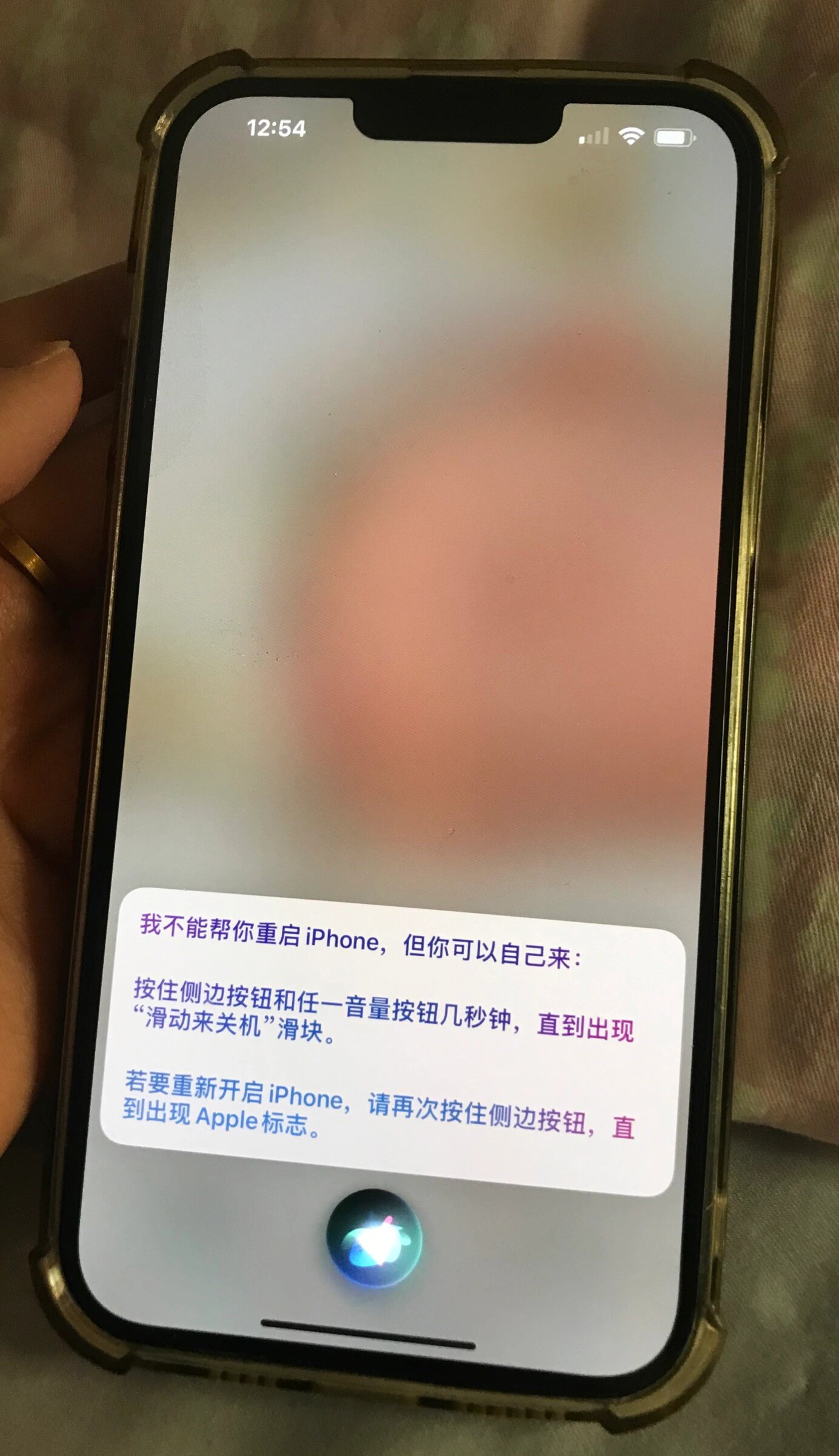 苹果手机为什么下载不了和平精英百科在线