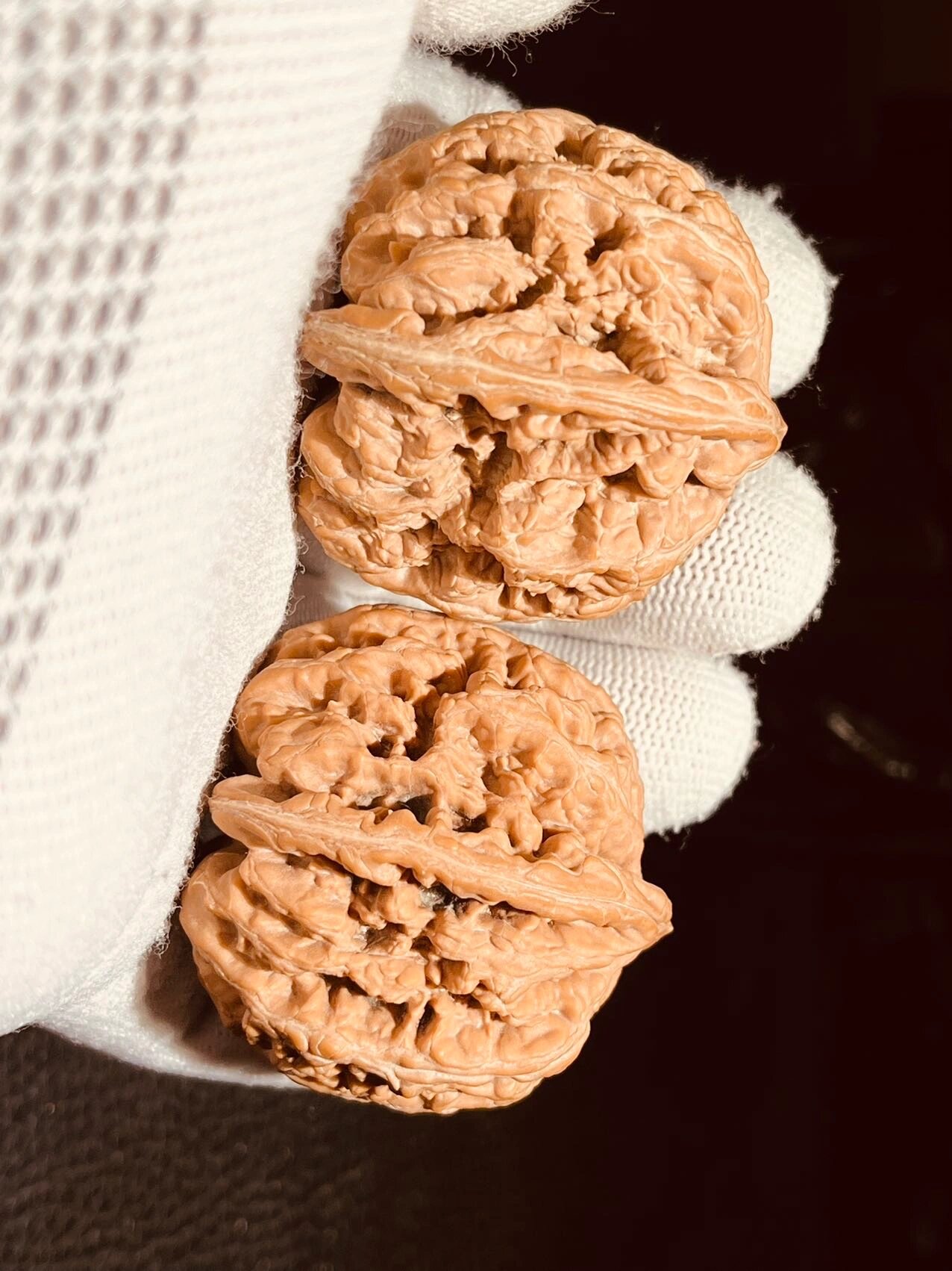 全品无修55.1克46尺平谷大粗筋狮子头