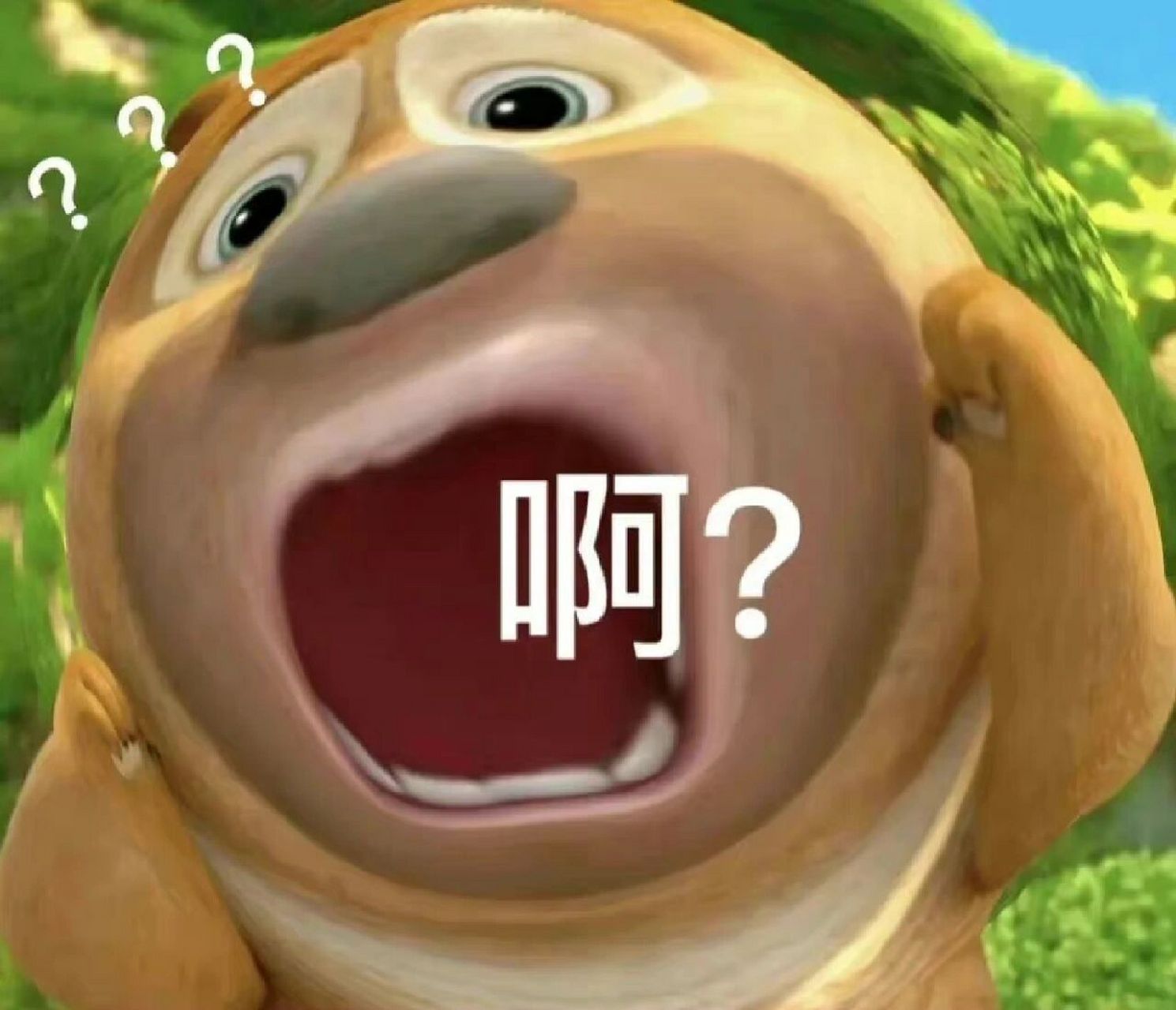 最近很火的熊二表情包 一线男明星——熊二93